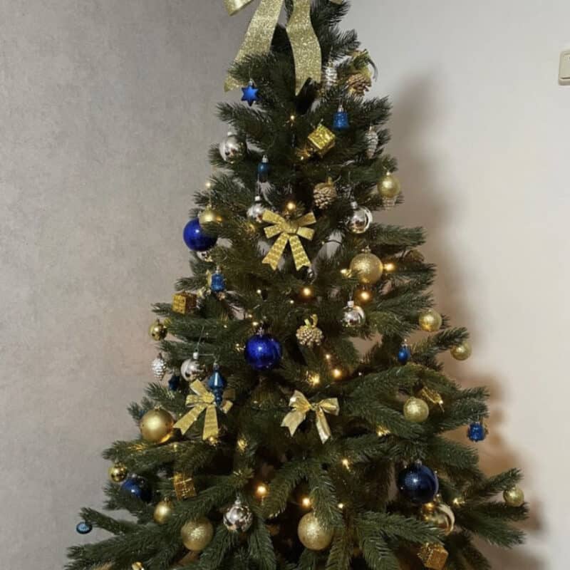 Kunstkuusk REVAL ehetes tutiga