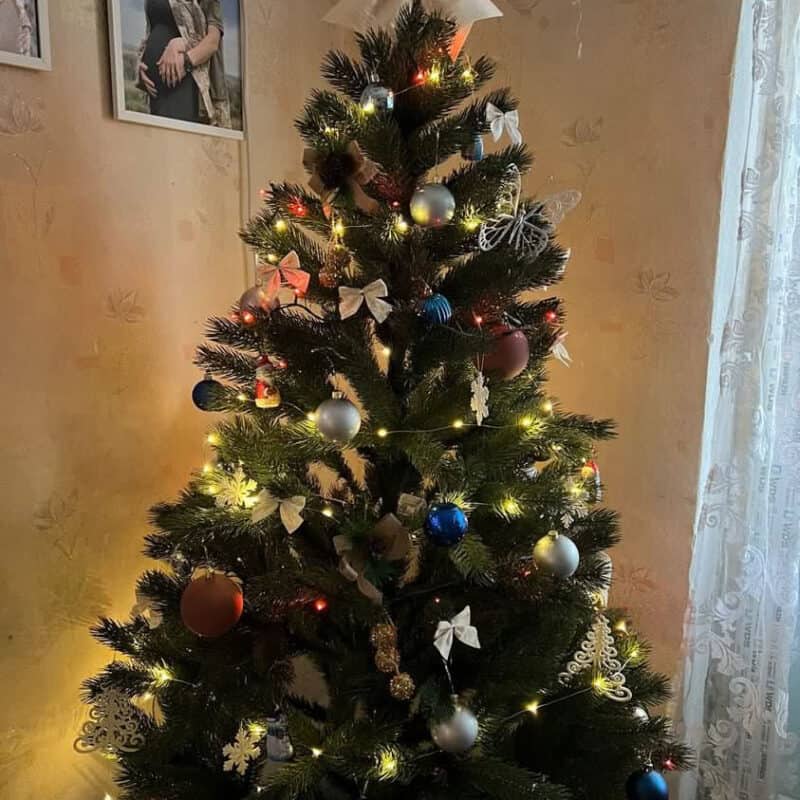 Kunstkuusk REVAL green ehetes