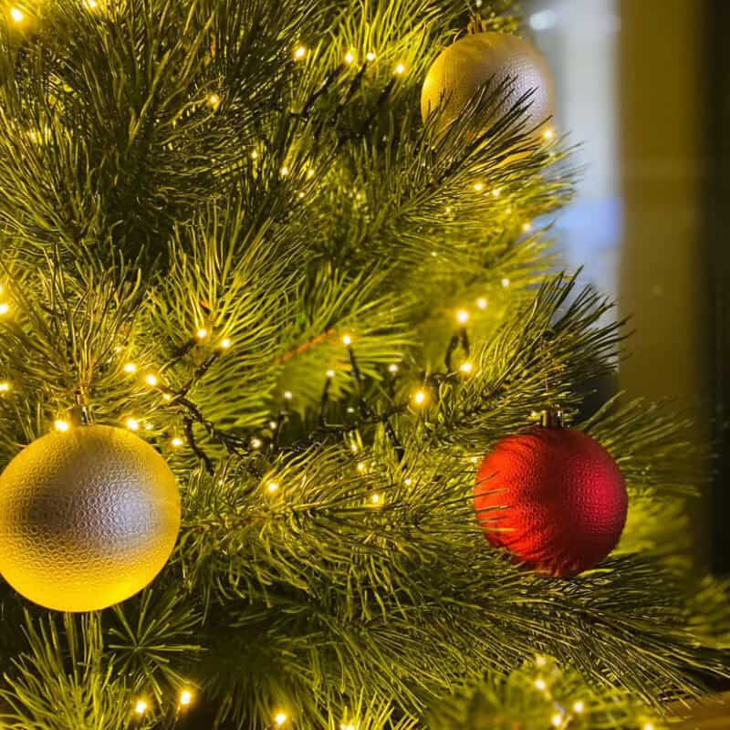 Kunstkuusk TUNDRA küünlad-ehted lähiplaan1