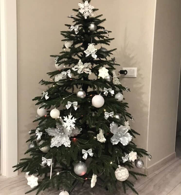 Kunstkuusk VERONA ehetes